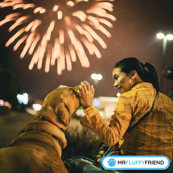 Tested Tips: How to Calm a Dog During Fireworks