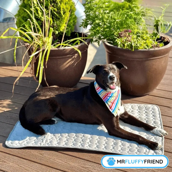 Ultimate Guide: Cooling Mats for Dogs & Cats That Work