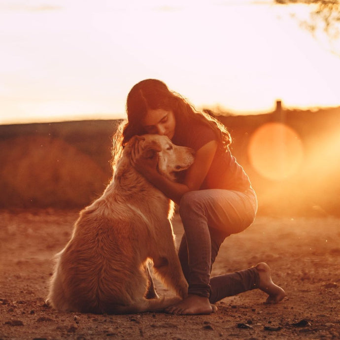 How I Became a Better Dog Owner