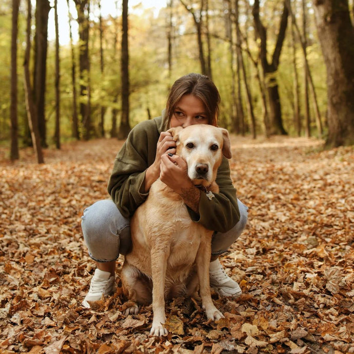 Getting Ready for Fall Season: A Guide for Dog-Owners