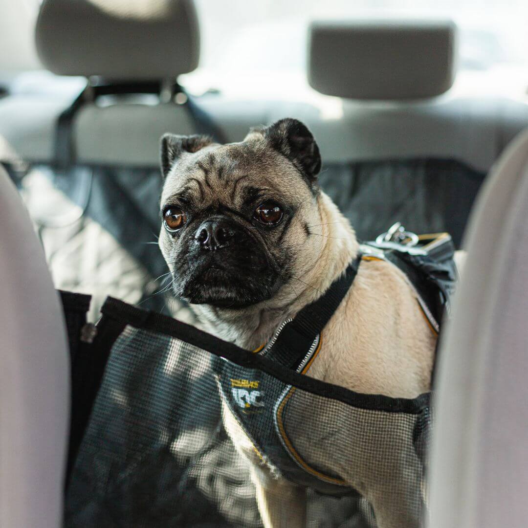 MrFluffyFriend™ - Car Seat Cover for Dogs