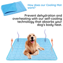 Load image into Gallery viewer, MrFluffyFriend™ - Ultimate Cooling Mat for Pets
