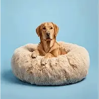 Photo of Calming dog bed