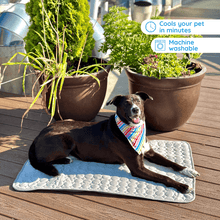 Load image into Gallery viewer, MrFluffyFriend™ - Ultimate Cooling Mat for Pets
