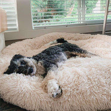 Load image into Gallery viewer, MrFluffyFriend™ - World&#39;s #1 Anxiety Relieving Dog Bed
