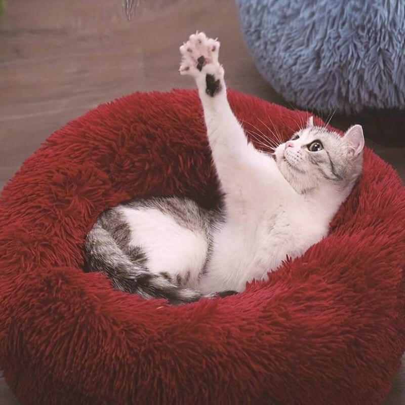 MrFluffyFriend™ - World's #1 Anxiety Relieving Cat Bed