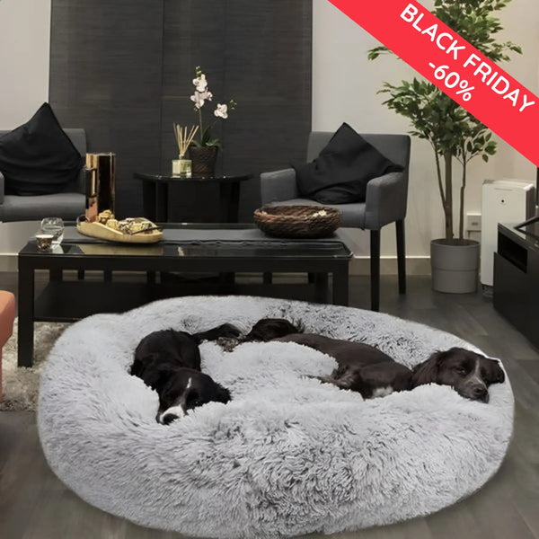 Do you want to give your dog a comfortable life?