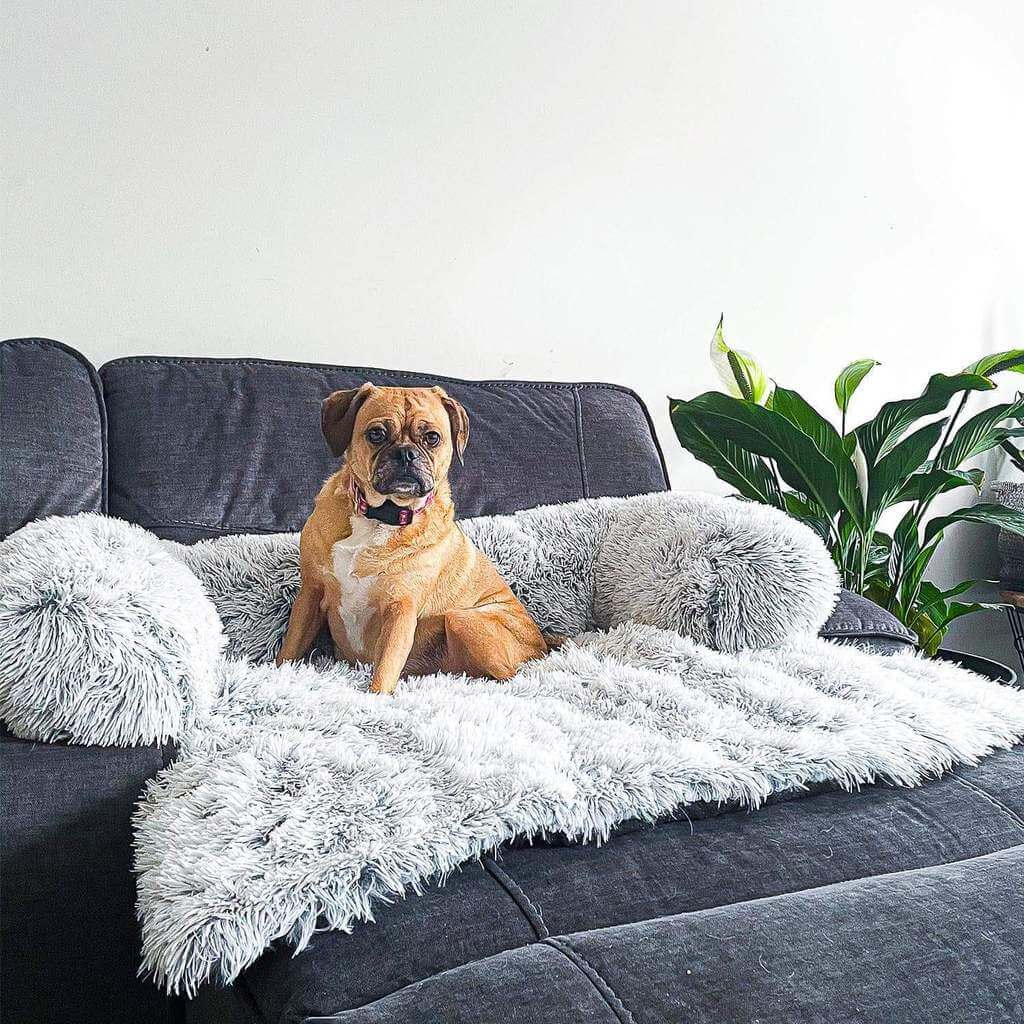 MrFluffyFriend™ - Fluffy Couch Cover for Dogs and Cats (TEST)